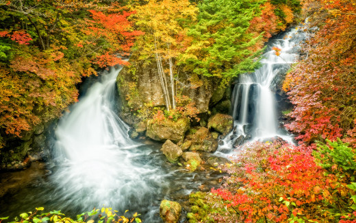 1114382 (a): :2560x1600